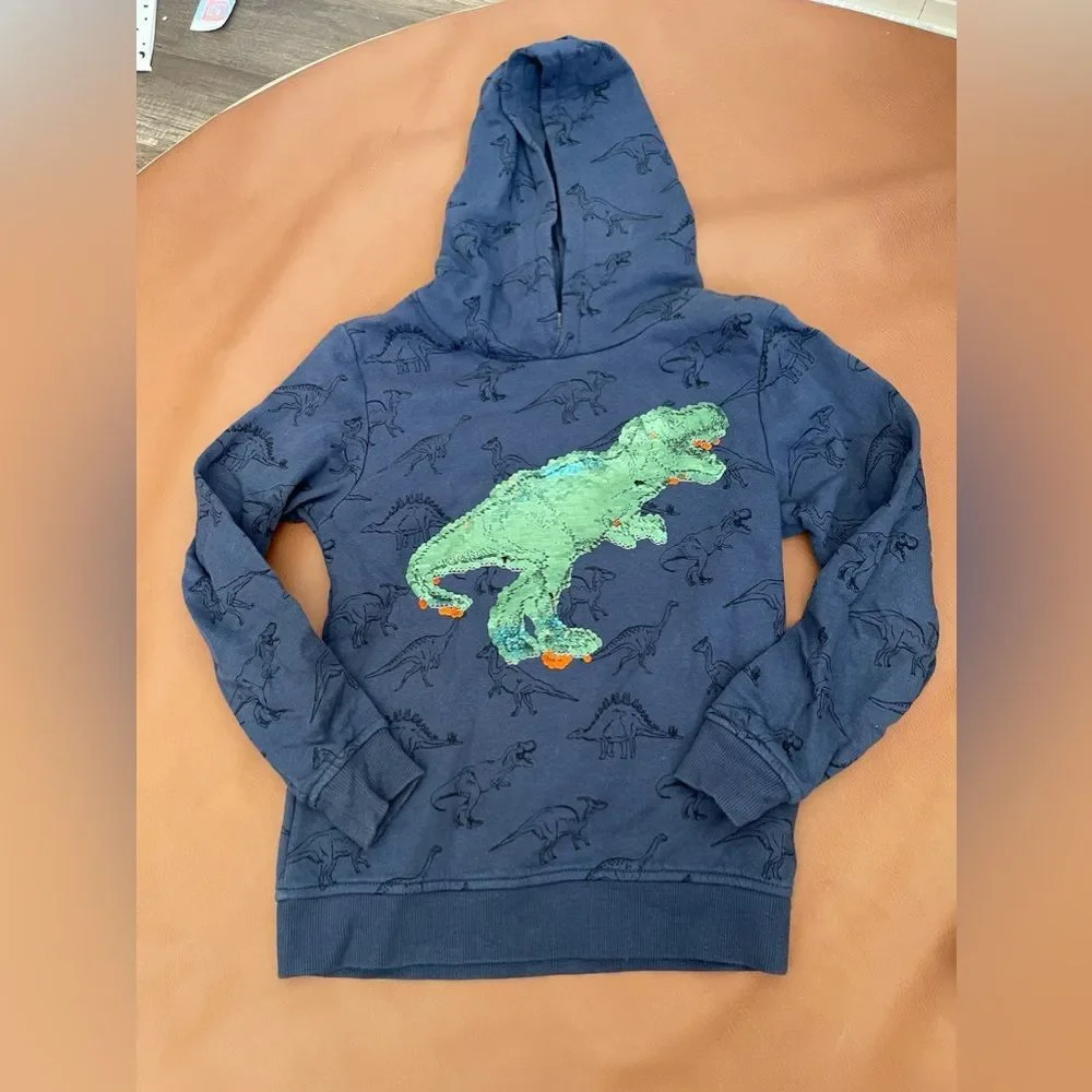 H&m sweater dinosaur Hoodie boys